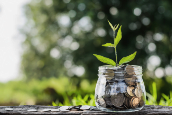 A tree growing from a jar of coins.